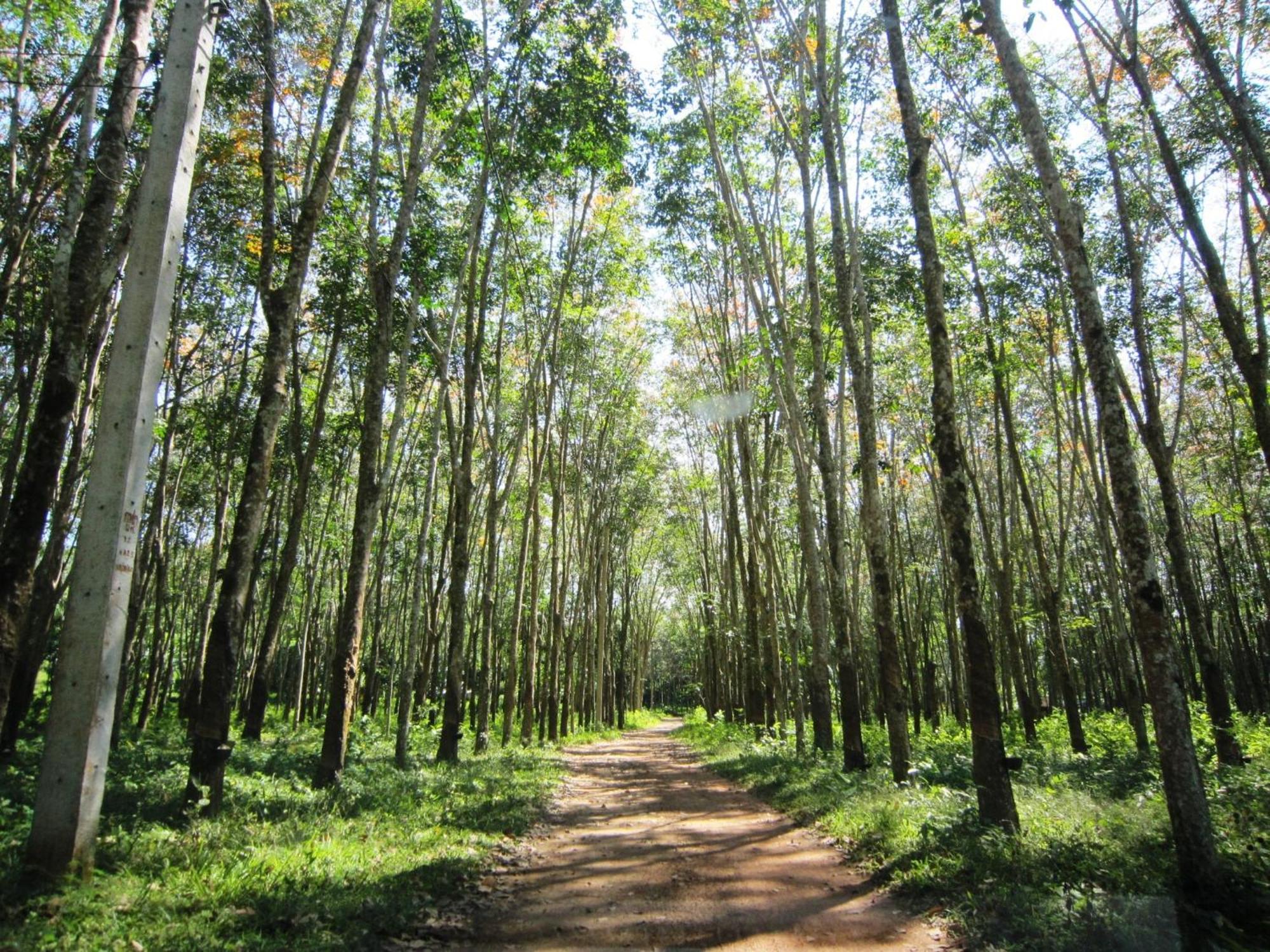 Phanom Bencha Mountain Resort Крабі Екстер'єр фото